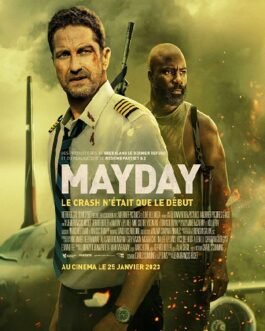 Plane Films streaming VF : Le pilote Brodie Torrance sauve des passagers d'un coup de foudre en effectuant un atterrissage risqué sur une île déchirée par la guerre