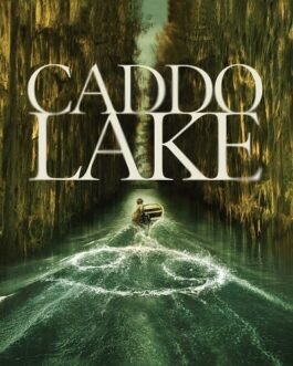 Caddo Lake Films streaming VF : Anna, 8 ans, disparaît mystérieusement, une connexion va vite s’établir avec une série de meurtres