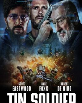 Tin Soldier Films Streaming 100% Gratuit