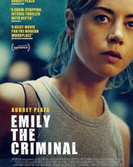 Emily The Criminal - VF-Film-Streaming-100-gratuit-sur-netfilms.fr-Netflix-Free stream.netfilms.fr