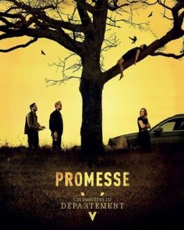 Les Enquêtes du département V : Promesse
